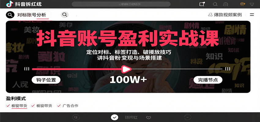 抖音账号盈利实战课，定位对标、标签打造、破播放技巧，讲涨粉变现与场景搭建-网赚项目平台