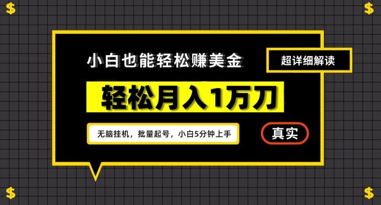 谷歌看广告撸美金2.0，无脑挂机，多号操作，月入1万刀【揭秘】-网赚项目平台