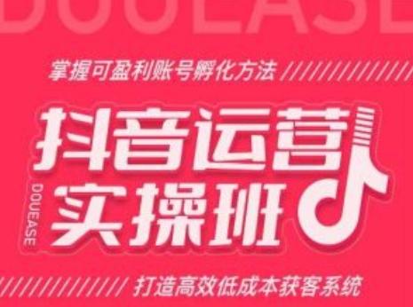 抖音运营实操班，掌握可盈利账号孵化方法，打造高效低成本获客系统-网赚项目平台