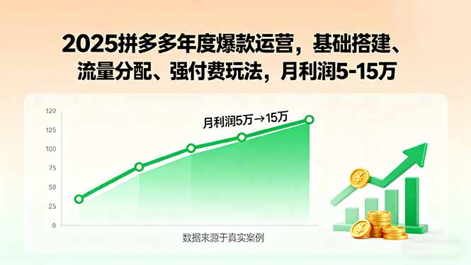2025拼多多年度爆款运营,基础搭建、流量分配、强付费玩法,月利润5-15万-网赚项目平台