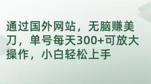 通过国外网站，无脑赚美刀，单号每天300+可放大操作，小白轻松上手【揭秘】-网赚项目平台