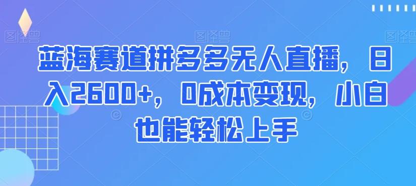 蓝海赛道拼多多无人直播，日入2600+，0成本变现，小白也能轻松上手【揭秘】-网赚项目平台