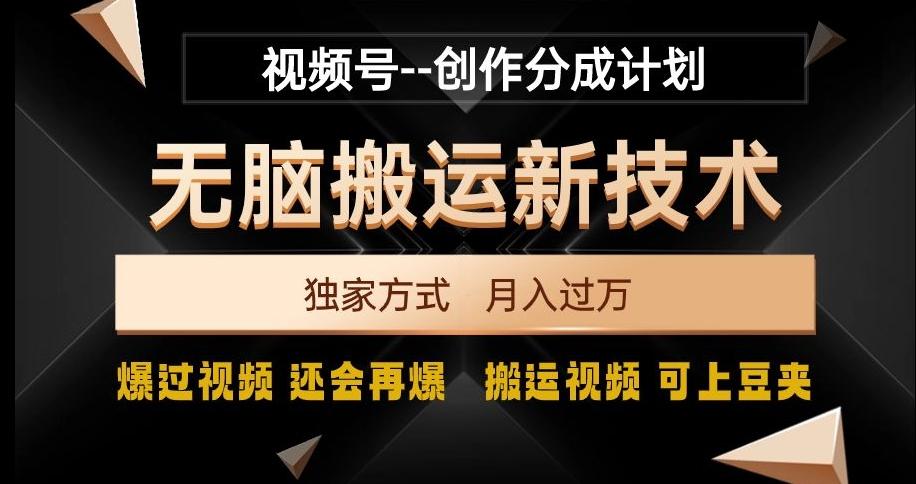 视频号无脑搬运新技术，破原创壕流量，独家方式，爆过视频，还会再爆【揭秘】-网赚项目平台