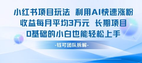 适合小白操作的小红书新项目，利用AI快速涨粉，收益每月平均1W+-网赚项目平台