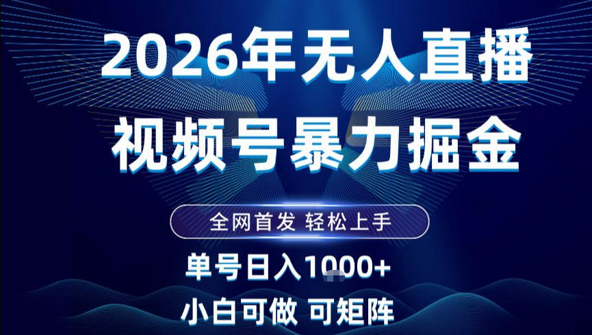 2026最新视频号无人直播掘金，全网首发，小白可以玩，长期稳定日入1k+【揭秘】-网赚项目平台