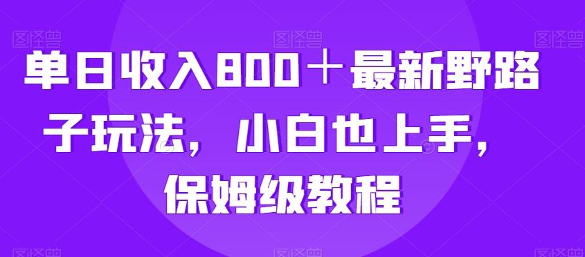 单日收入800＋最新野路子玩法，小白也上手，保姆级教程-网赚项目平台