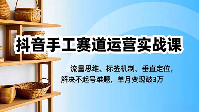 抖音手工赛道运营实战课,流量思维、标签机制、垂直定位,解决不起号难题,单月变现破3万-网赚项目平台