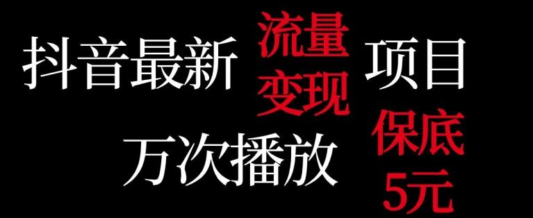 抖音流量变现，万次播放保底5元，额外收入-网赚项目平台