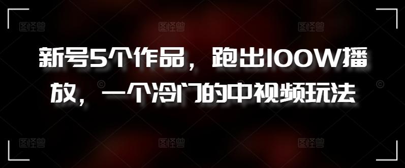 新号5个作品，跑出100W播放，一个冷门的中视频玩法【揭秘】-网赚项目平台