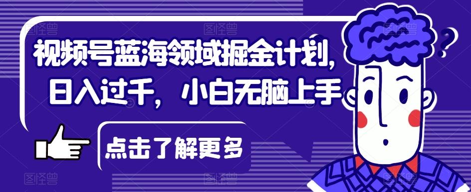 视频号蓝海领域掘金计划，日入过千，小白无脑上手【揭秘】-网赚项目平台