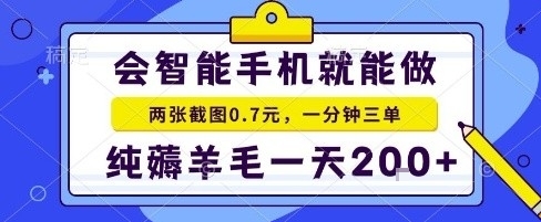 手机项目,二十秒一单,纯薅羊毛一天2张+做就有【揭秘】-网赚项目平台