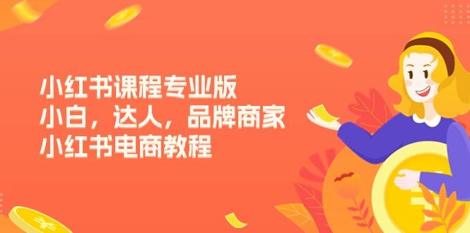 小红书课程专业版，小白，达人，品牌商家，小红书电商教程(15节-网赚项目平台
