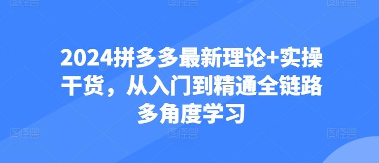 2024拼多多最新理论+实操干货，从入门到精通全链路多角度学习-网赚项目平台