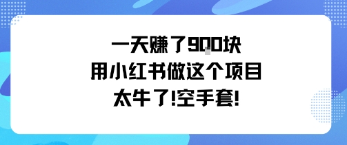 一天挣了9张用小红书做这个项目太牛了，空手套-网赚项目平台