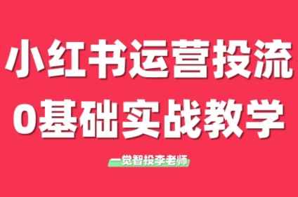 李老师·小红书运营投流，0基础实战教学(更新)-网赚项目平台