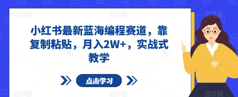 小红书最新蓝海编程赛道，靠复制粘贴，月入2W+，实战式教学【揭秘】-网赚项目平台