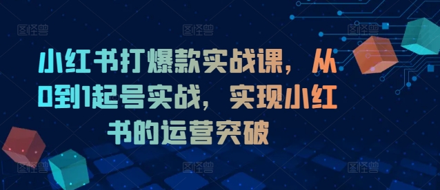 小红书打爆款实战课，从0到1起号实战，实现小红书的运营突破-网赚项目平台
