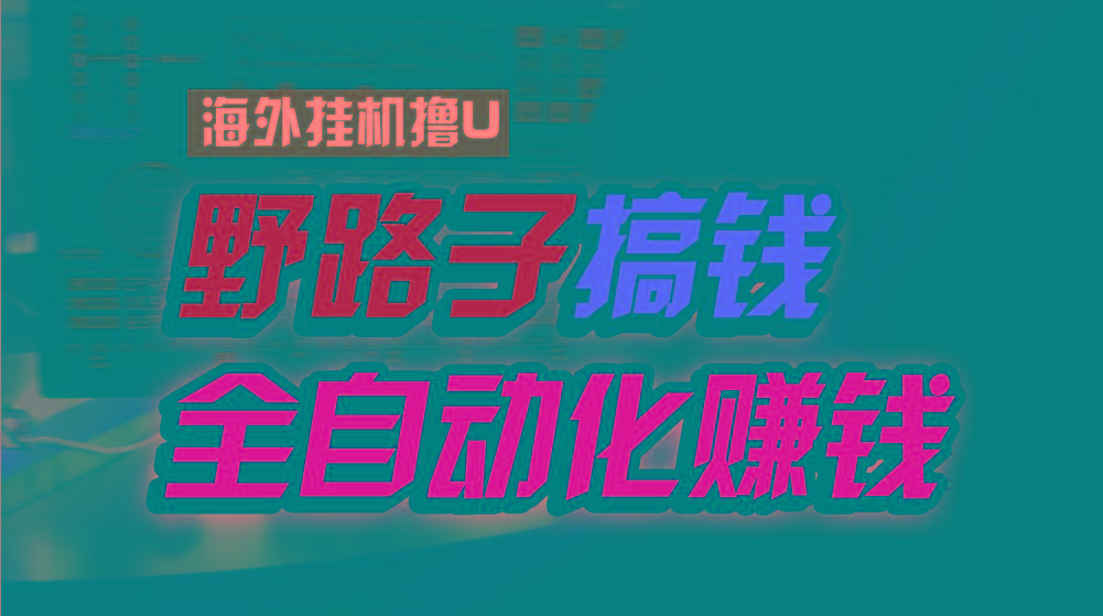 海外挂机撸U新平台，日赚8-15美元，全程无人值守，可批量放大，工作室内…-网赚项目平台