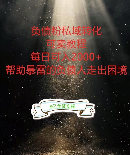 负债粉掘金计划，帮助负债者解决问题，债务规划，债务重组，最好的变现方式【揭秘】-网赚项目平台
