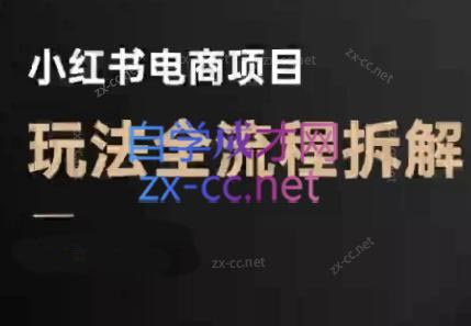 菲菲老师·小红书电商玩法(更新7月)-网赚项目平台