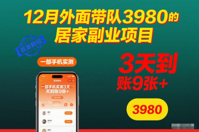 12月外面带队3980的居家副业项目,一部手机实测3天到账9张+,首发教程【揭秘】-网赚项目平台
