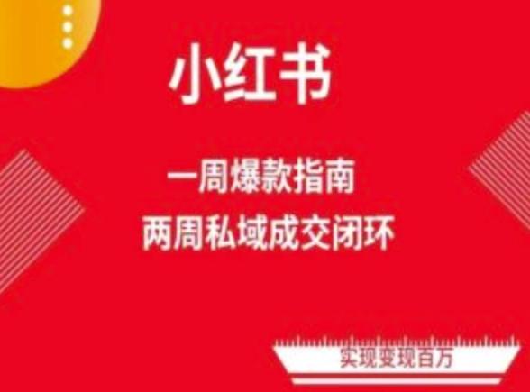 爆款小红书免费流量体系课程(两周变现)，小红书电商教程-网赚项目平台
