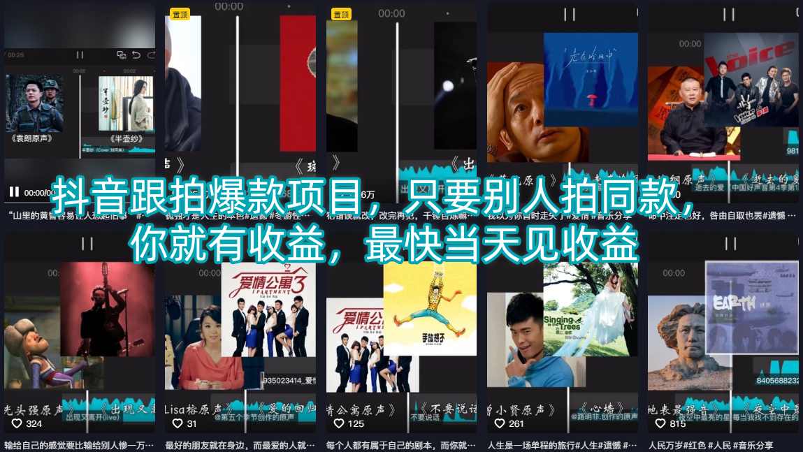 抖音跟拍爆款项目，只要别人拍同款，你就有收益，最快当天见收益-网赚项目平台