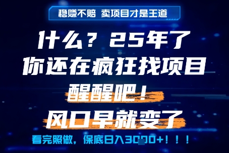 什么？25年你还在疯狂找项目做，醒醒吧，看完这些你全都懂了！【揭秘】-网赚项目平台