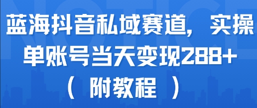 蓝海抖音私域赛道，实操单账号当天变现288+(附教程)-网赚项目平台