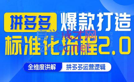 云杉老师·拼多多爆款打造标准化流程2.0-网赚项目平台