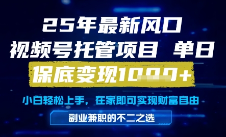 25年最新风口，视频号托管项目，单日保底变现1k+，手把手教学【揭秘】-网赚项目平台