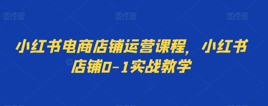 小红书电商店铺运营课程，小红书店铺0-1实战教学-网赚项目平台