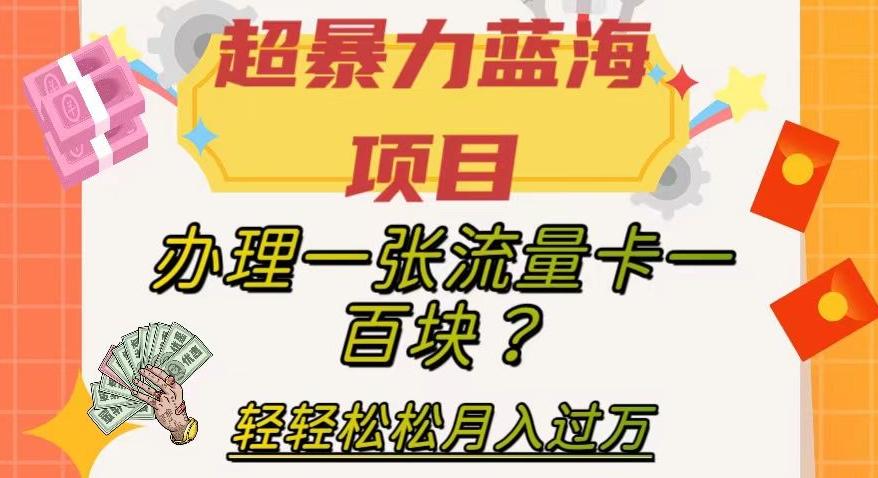 超暴力蓝海项目，办理一张流量卡一百块？轻轻松松月入过万，保姆级教程【揭秘】-网赚项目平台