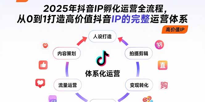 2025年抖音IP孵化运营全流程，从0到1打造高价值抖音IP的完整运营体系-网赚项目平台