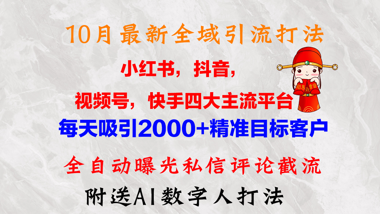 10月最新小红书，抖音，视频号，快手四大平台全域引流，，每天吸引2000…-网赚项目平台