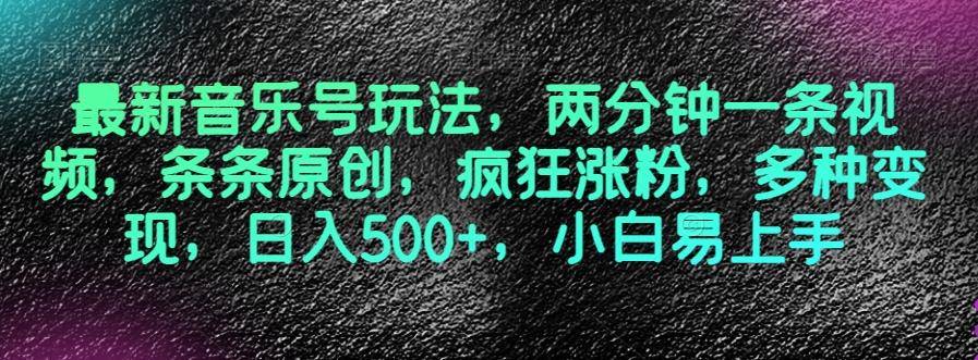 最新音乐号玩法，两分钟一条视频，条条原创，疯狂涨粉，多种变现，日入500+，小白易上手【揭秘】-网赚项目平台