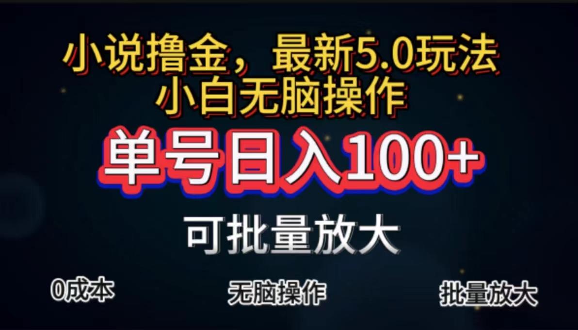 全自动小说撸金，单号日入100+小白轻松上手，无脑操作-网赚项目平台
