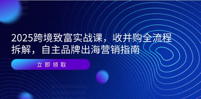2025跨境致富实战课，收并购全流程拆解，自主品牌出海营销指南-网赚项目平台