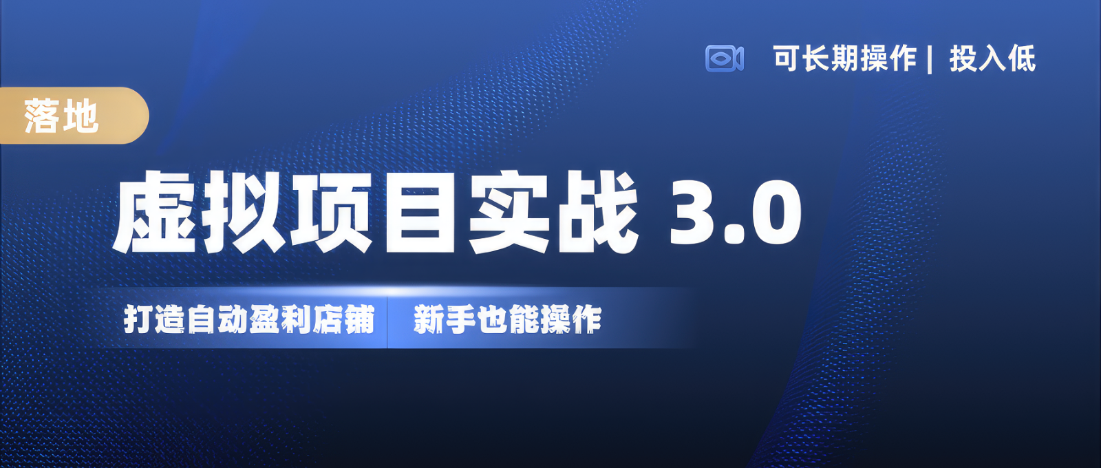 虚拟项目实操落地 3.0,新手轻松上手，单品月入1W+-网赚项目平台