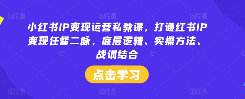 小红书IP变现运营私教课，打通红书IP变现任督二脉，底层逻辑、实操方法、战训结合-网赚项目平台