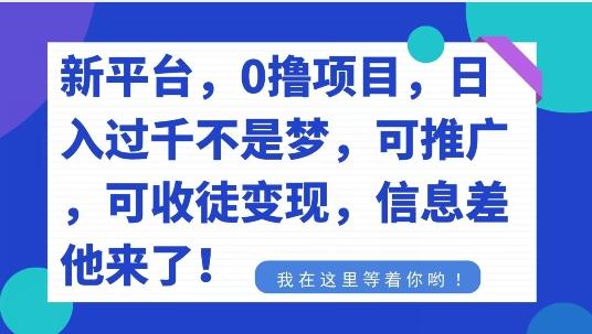 不要再花冤枉钱了，0撸项目，每天坚持，稳定1000+-网赚项目平台