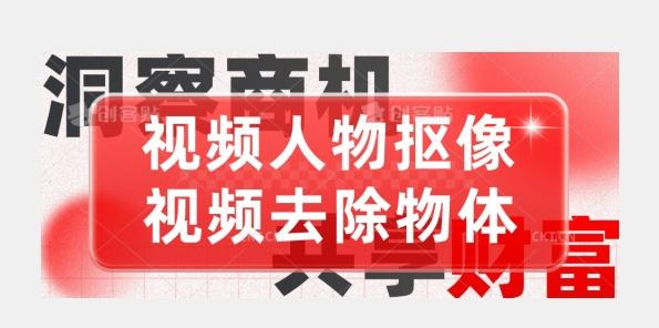 【超强视频处理工具】视频人物抠像+视频去除物体-网赚项目平台