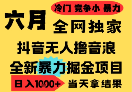 25年6月高爆抖音无人直播最新撸音浪掘金项目，小白可做，无脑日入1k+，门槛低可批量矩阵【揭秘】-网赚项目平台