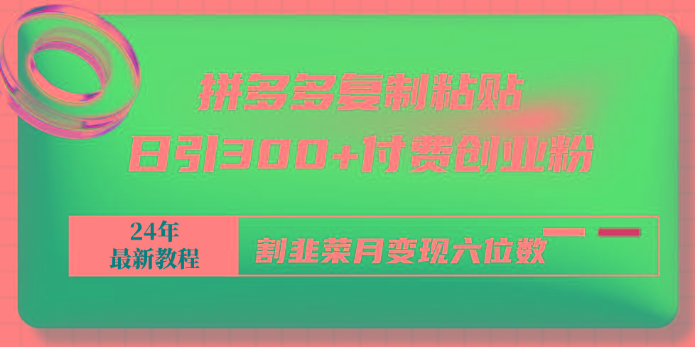 拼多多复制粘贴日引300+付费创业粉，割韭菜月变现六位数最新教程！-网赚项目平台