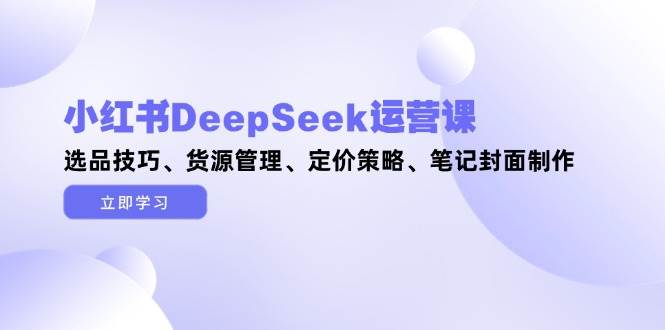 小红书DeepSeek运营课，选品技巧、货源管理、定价策略、笔记封面制作-网赚项目平台