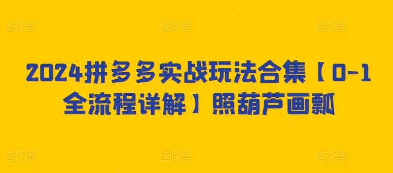 2024拼多多实战玩法合集【0-1全流程详解】照葫芦画瓢-网赚项目平台