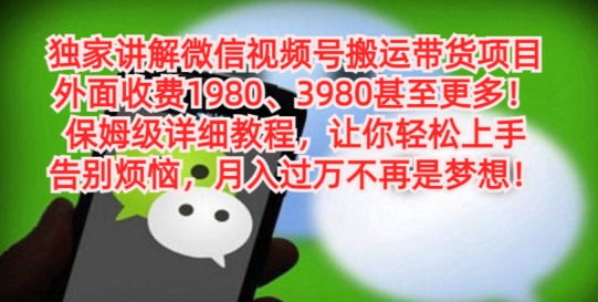 独家讲解微信视频号搬运带货项目，保姆级详细教程-网赚项目平台