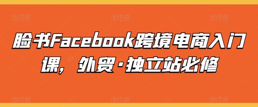 脸书Facebook跨境电商入门课，外贸·独立站必修-网赚项目平台