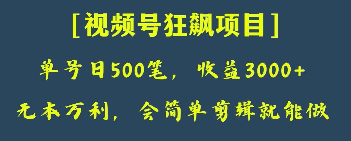 日收款500笔，纯利润3000+，视频号狂飙项目，会简单剪辑就能做【揭秘】-网赚项目平台