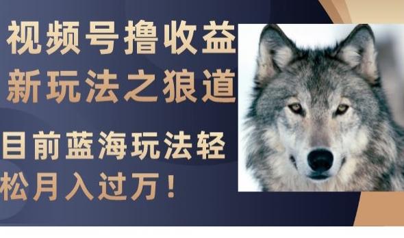 视频号撸收益新玩法之狼道，目前蓝海玩法，轻松月入过万【揭秘】-网赚项目平台